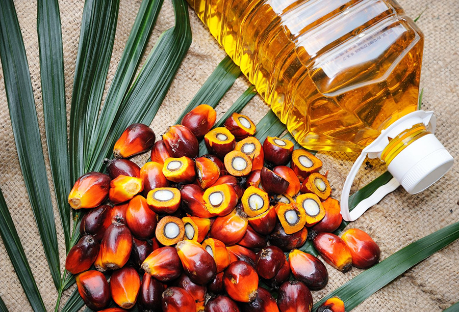 Procurement of Refined Palm Olein